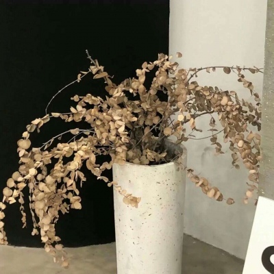 衡山福瑞交流群